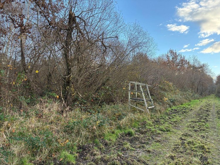 Maison a vendre Salbris 41300 Loir-et-Cher 84 m2 2 pièces 206848 euros