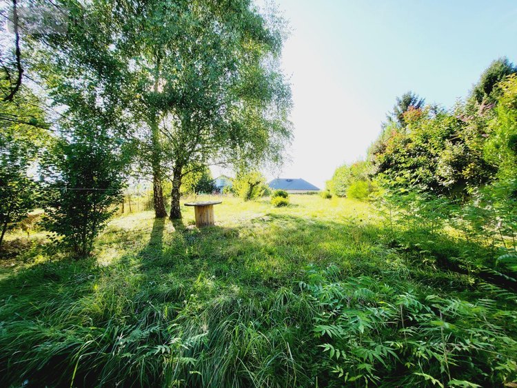 Maison a vendre Ussel 19200 Corrèze 60 m2 3 pièces 79500 euros