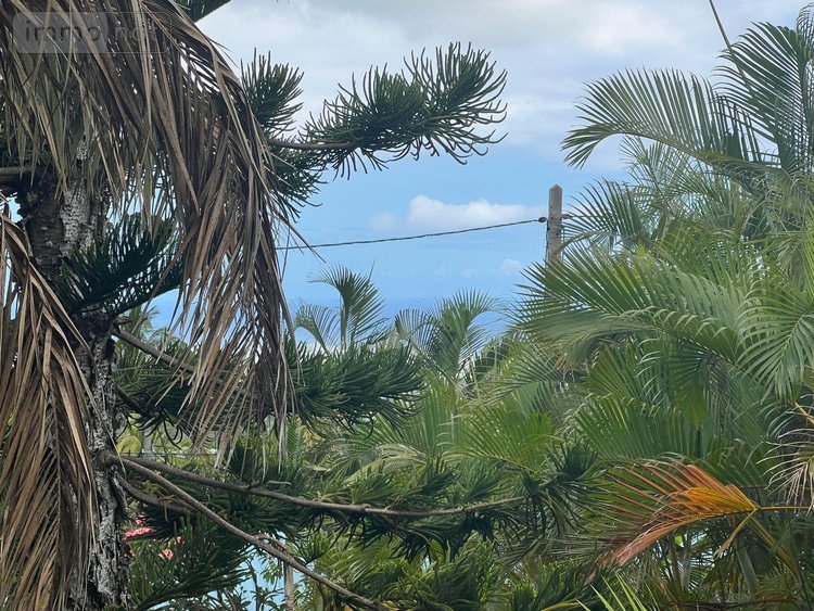Terrain a batir a vendre Saint-Paul 97460 Réunion 473 m2  243900 euros