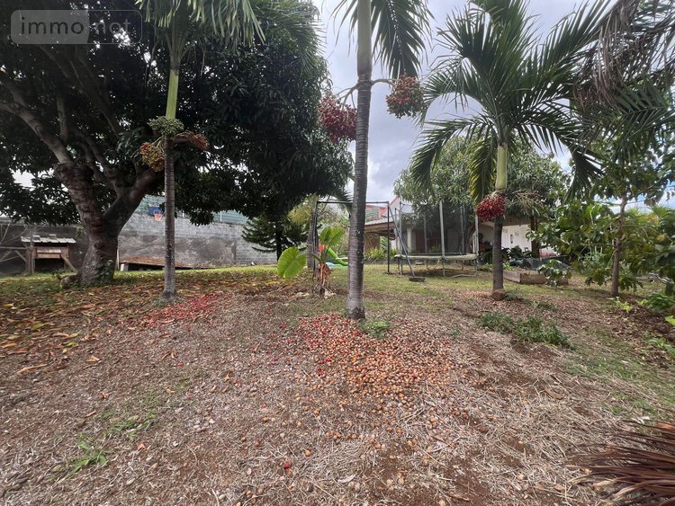 Terrain a batir a vendre Saint-Paul 97460 Réunion 473 m2  243900 euros