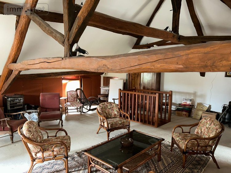 Maison a vendre Avaray 41500 Loir-et-Cher 290 m2 8 pièces 213500 euros