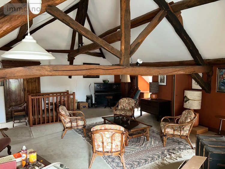 Maison a vendre Avaray 41500 Loir-et-Cher 290 m2 8 pièces 213500 euros