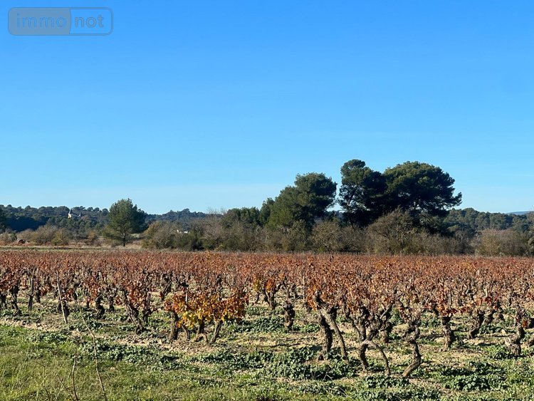 Maison a vendre Badens 11800 Aude 297 m2 7 pièces 249000 euros