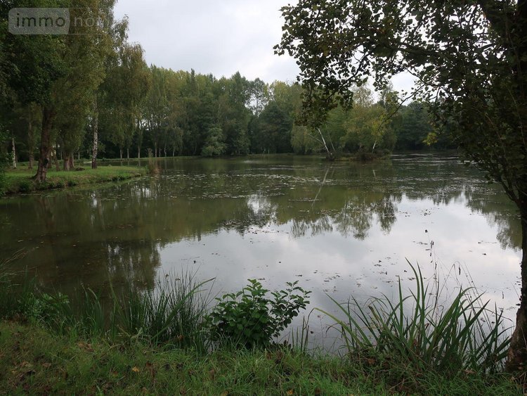 Terrains de loisirs bois etangs a vendre Melesse 35520 Ille-et-Vilaine 19497 m2  63336 euros