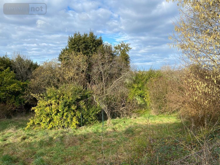 Maison a vendre Saint-Romain-la-Virvée 33240 Gironde 225 m2 7 pièces 200000 euros