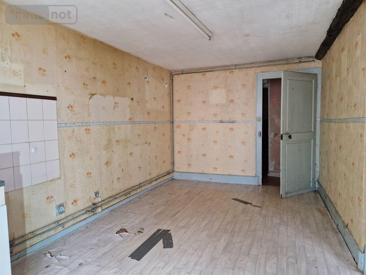 Immeuble a vendre Bar-sur-Aube 10200 Aube 132 m2  56000 euros