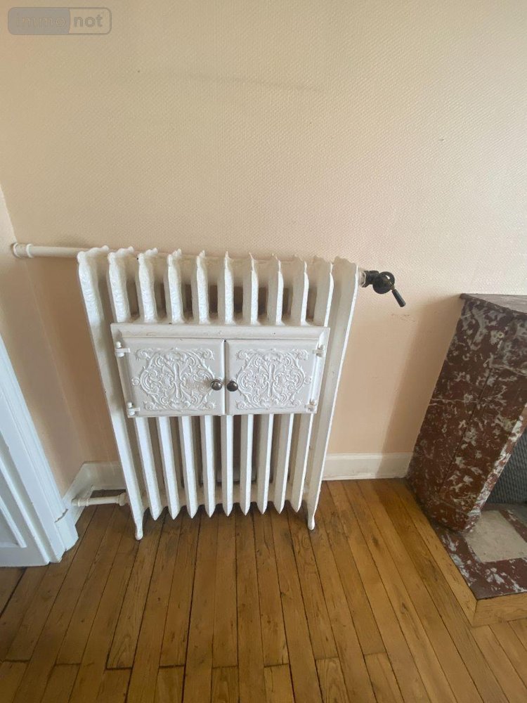 Appartement a vendre Mauriac 15200 Cantal 100 m2  53000 euros