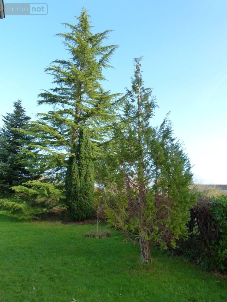 Maison a vendre Saint-Sébastien 23160 Creuse 193 m2 4 pièces 312000 euros