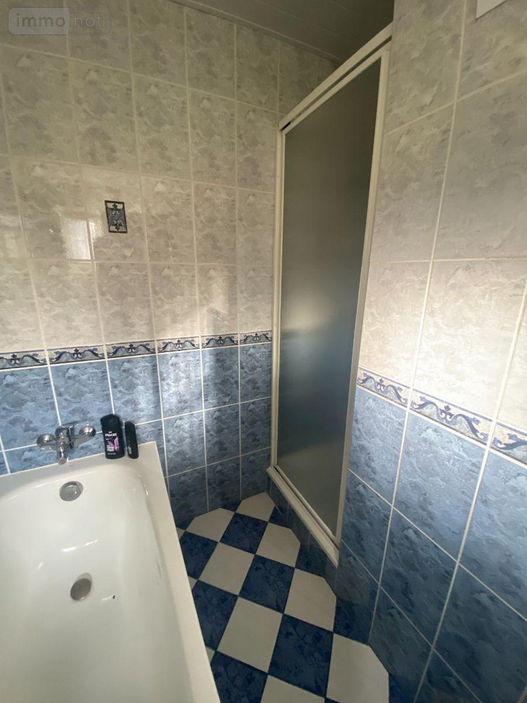 Maison a vendre Mauriac 15200 Cantal 90 m2  212000 euros