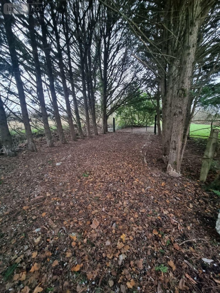 Terrains de loisirs bois etangs a vendre Neuvy-Saint-Sépulchre 36230 Indre 5740 m2  37000 euros