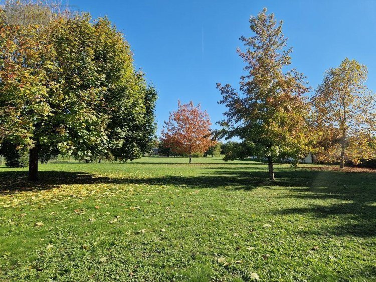 Maison a vendre Bar-sur-Seine 10110 Aube 153 m2 6 pièces 263000 euros