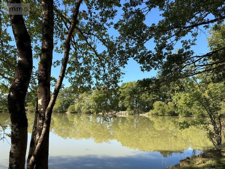 Maison a vendre La Pérouille 36350 Indre 297 m2 7 pièces 871500 euros