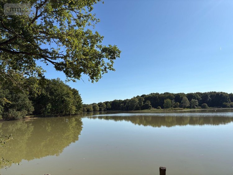 Maison a vendre La Pérouille 36350 Indre 297 m2 7 pièces 871500 euros