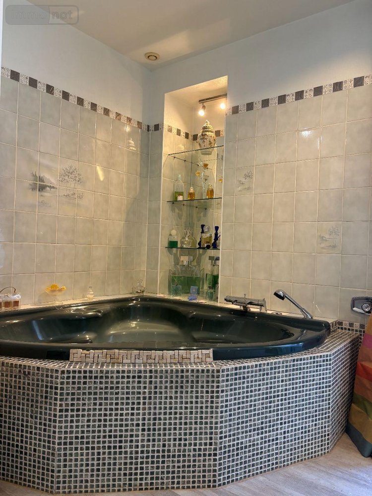 Maison a vendre La Pérouille 36350 Indre 297 m2 7 pièces 598000 euros