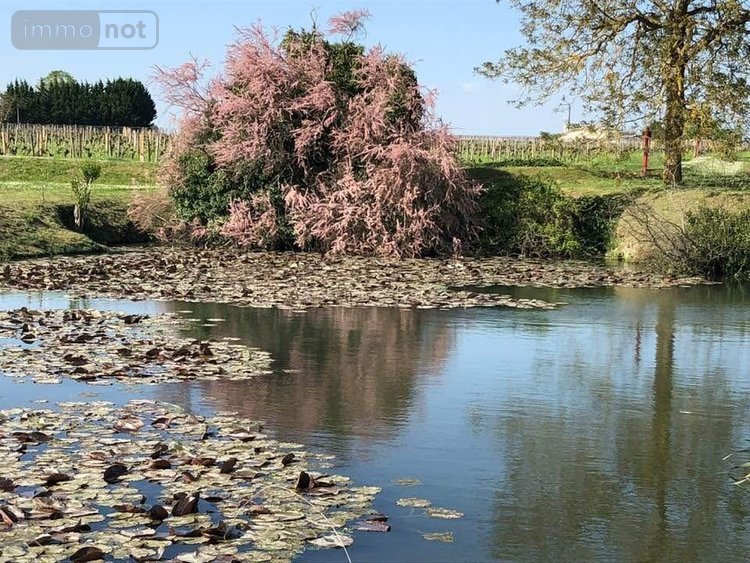 Maison a vendre Saint-Émilion 33330 Gironde 235 m2 7 pièces 1456000 euros