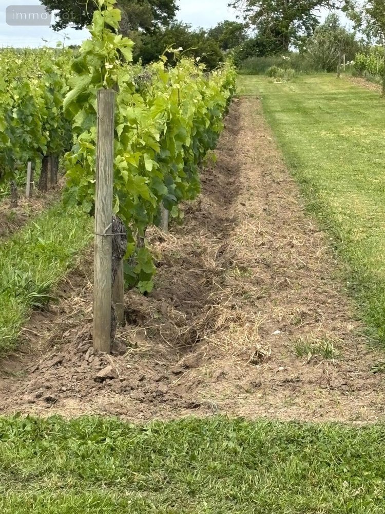 Maison a vendre Saint-Émilion 33330 Gironde 235 m2 7 pièces 1456000 euros