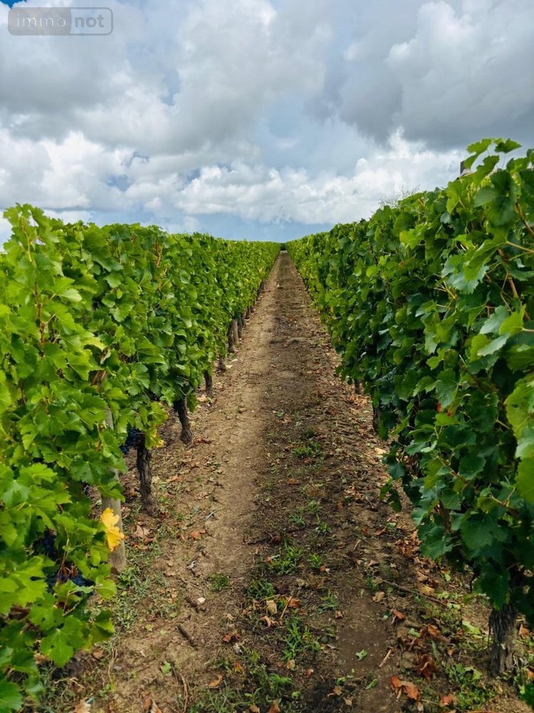 Maison a vendre Saint-Émilion 33330 Gironde 235 m2 7 pièces 1456000 euros