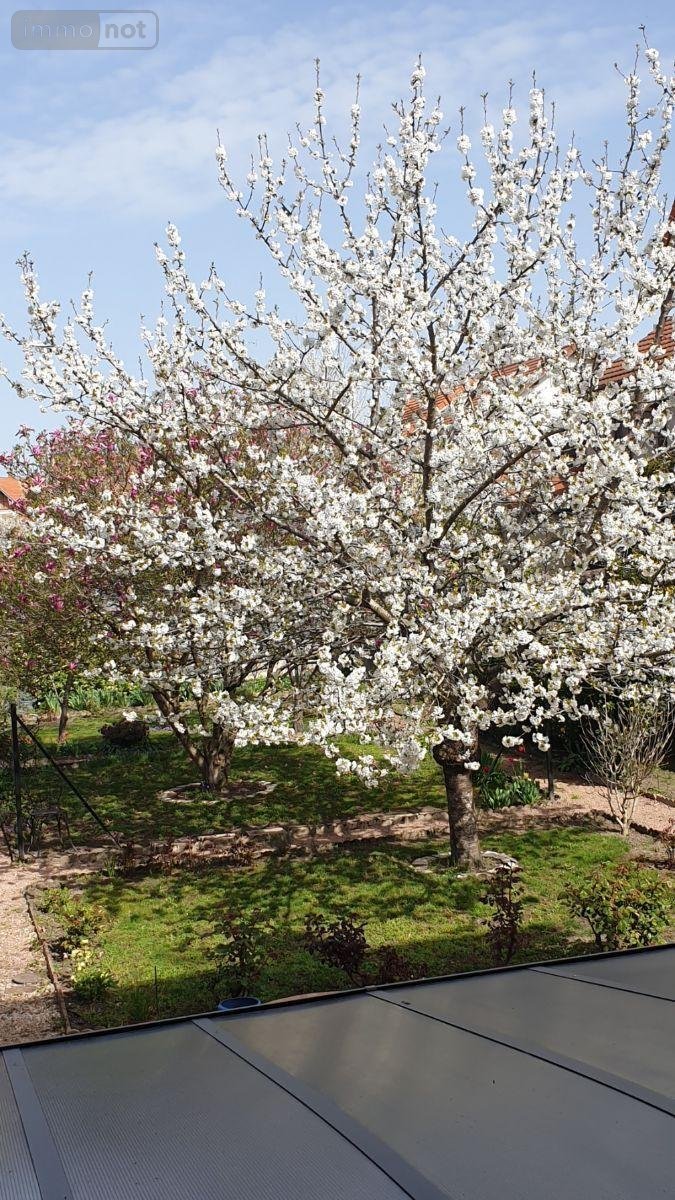 Maison a vendre Montluçon 03100 Allier 112 m2 8 pièces 116600 euros