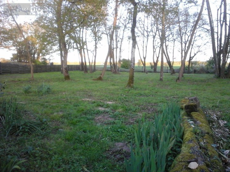 propriete a vendre Saint-Just-Luzac 17320 Charente-Maritime 100 m2 4 pièces 260000 euros