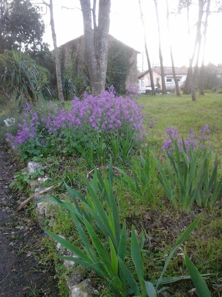 propriete a vendre Saint-Just-Luzac 17320 Charente-Maritime 100 m2 4 pièces 280800 euros