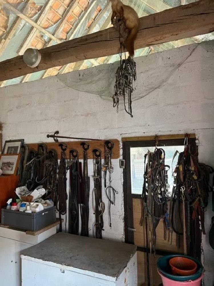 Maison a vendre Montreuil-sur-Mer 62170 Pas-de-Calais 220 m2 12 pièces 770800 euros