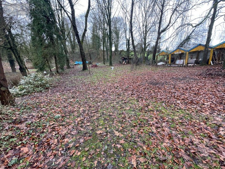 Maison a vendre Hernicourt 62130 Pas-de-Calais 218 m2 6 pièces 374760 euros