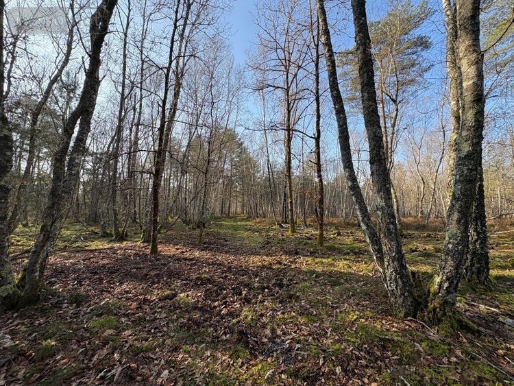 propriete a vendre Nançay 18330 Cher 210 m2 5 pièces 647900 euros