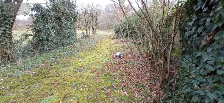 Maison a vendre Chalindrey 52600 Haute-Marne 126 m2 5 pièces 91000 euros