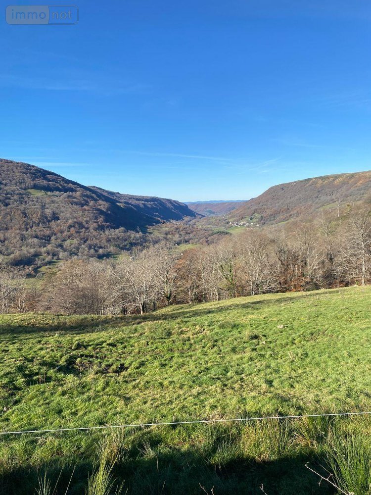 Maison a vendre Le Vaulmier 15380 Cantal 300 m2  84800 euros