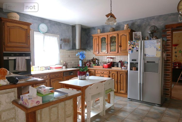 Maison a vendre Availles-en-Châtellerault 86530 Vienne 155 m2 7 pièces 330120 euros