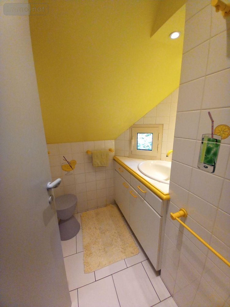Maison a vendre Murat 15300 Cantal 140 m2  439000 euros
