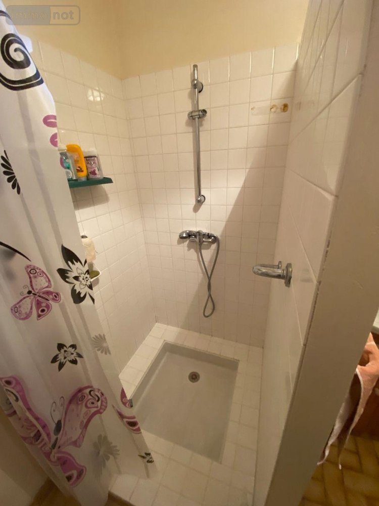 Maison a vendre Saint-Genou 36500 Indre 109 m2 3 pièces 64800 euros