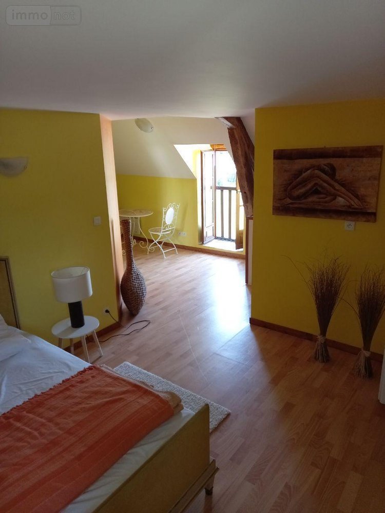 Maison a vendre Le Tranger 36700 Indre 350 m2 14 pièces 472900 euros