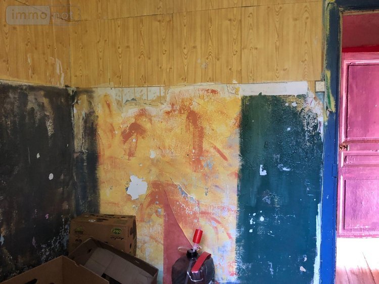 Maison a vendre Lugarde 15190 Cantal  43000 euros