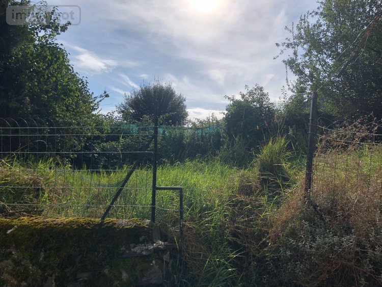 Maison a vendre Lugarde 15190 Cantal  43000 euros