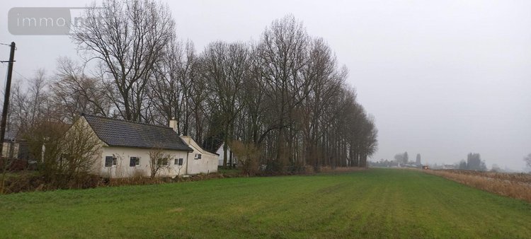 Maison a vendre Bourbourg 59630 Nord 105 m2 5 pièces 271180 euros