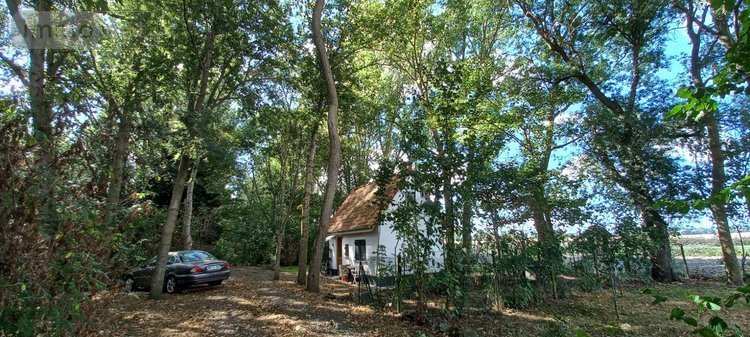 Maison a vendre Bourbourg 59630 Nord 105 m2 5 pièces 271180 euros