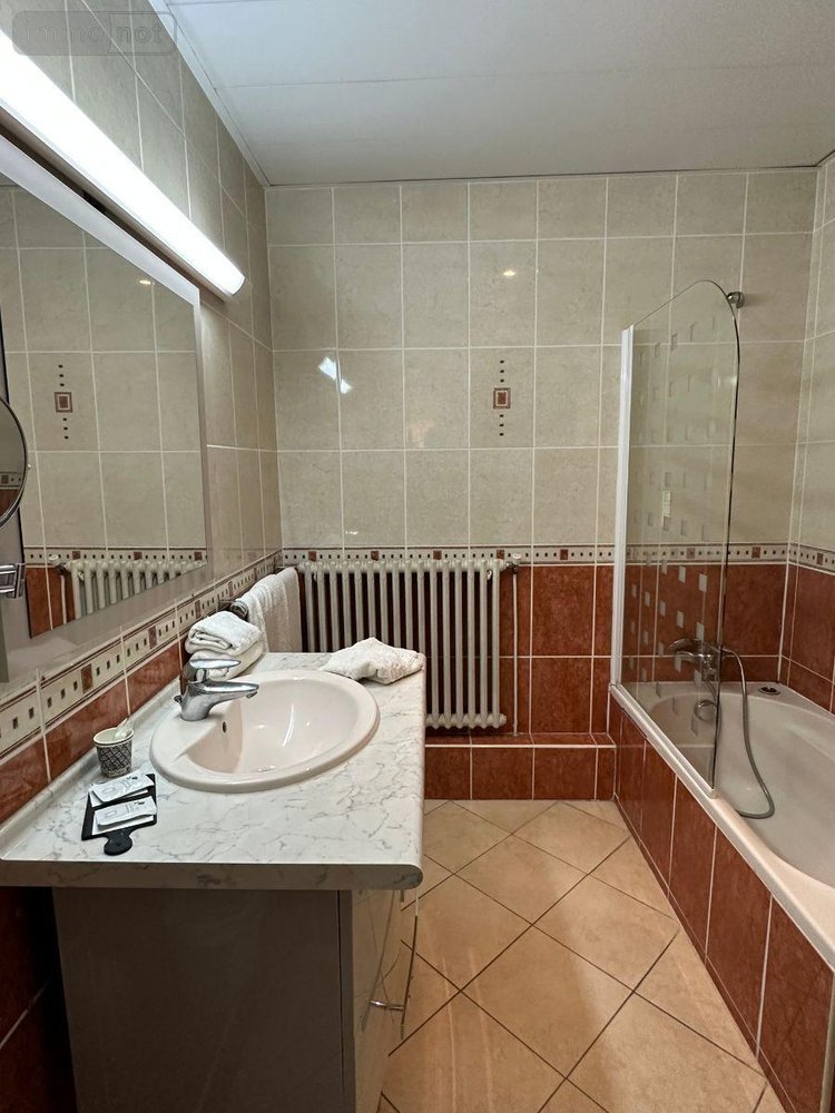 Fonds et murs commerciaux a vendre Montrichard-Val-de-Cher 41400 Loir-et-Cher 1029 m2  834517 euros