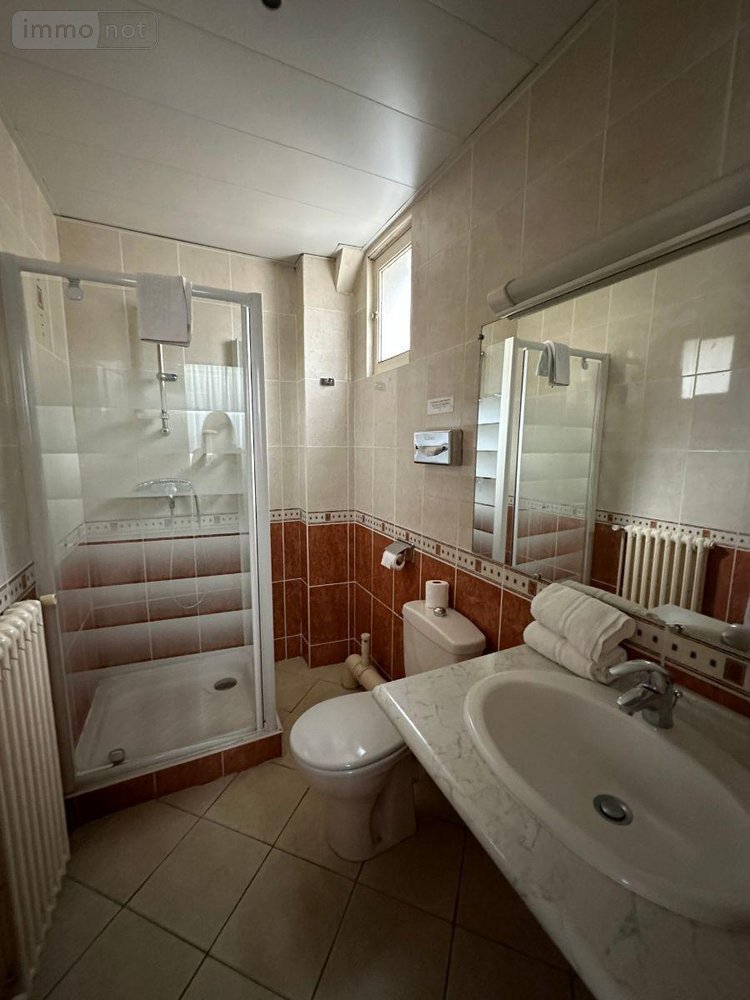 Fonds et murs commerciaux a vendre Montrichard-Val-de-Cher 41400 Loir-et-Cher 1029 m2  834517 euros