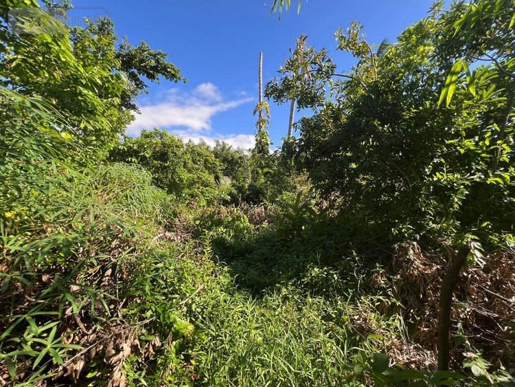 Maison a vendre Saint-André 97440 Réunion 185 m2 5 pièces 743900 euros