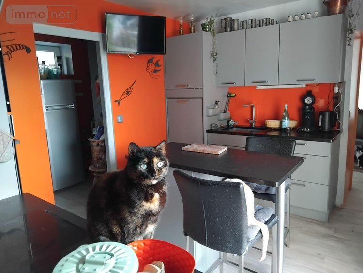 Maison a vendre Tresson 72440 Sarthe 183 m2  210000 euros