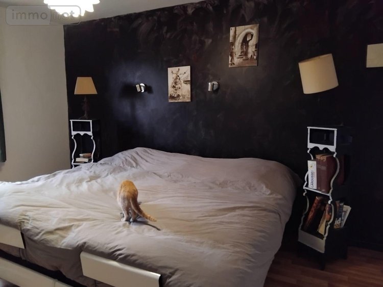 Maison a vendre Tresson 72440 Sarthe 183 m2  210000 euros