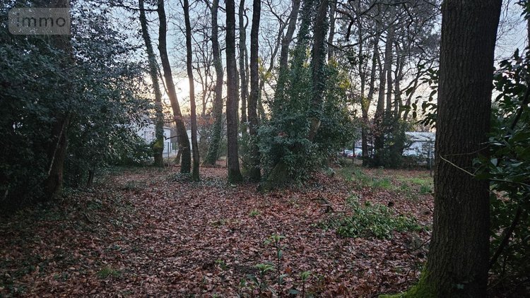 Terrain a batir a vendre Breuillet 17920 Charente-Maritime 1502 m2  84000 euros