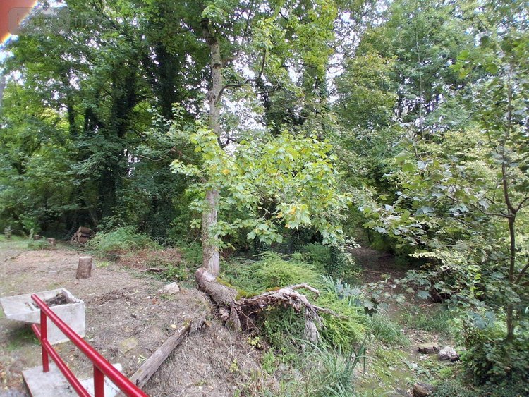 Terrain a batir a vendre Sommesous 51320 Marne 6000 m2  70868 euros