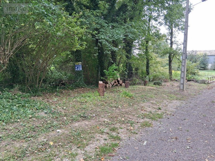 Terrain a batir a vendre Sommesous 51320 Marne 6000 m2  70868 euros