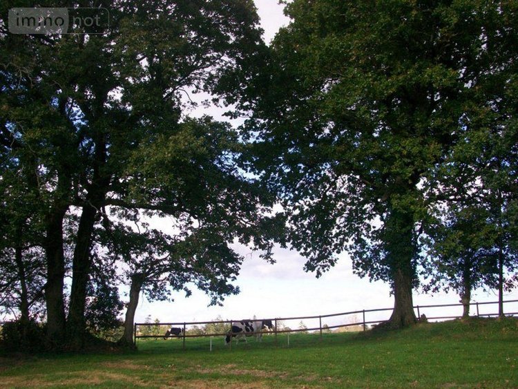 Maison a vendre Trégourez 29970 Finistère 325 m2  471600 euros