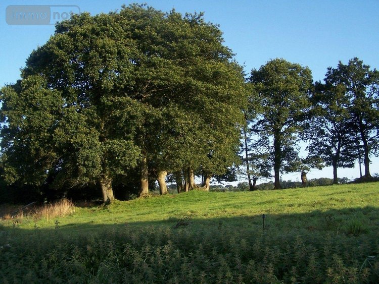 Maison a vendre Trégourez 29970 Finistère 325 m2  471600 euros