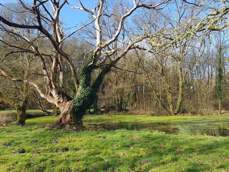 Maison a vendre Langon sur Cher 41320 Loir-et-Cher 278 m2 10 pièces 337280 euros