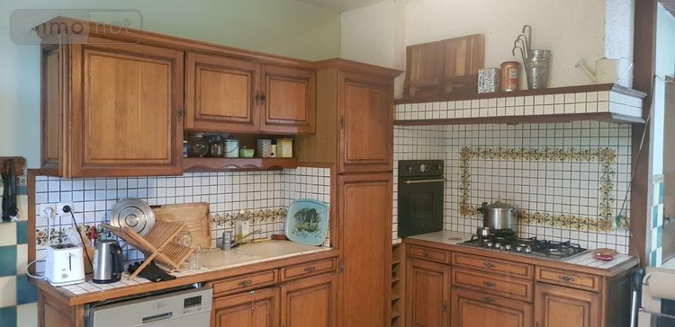 Maison a vendre Langon sur Cher 41320 Loir-et-Cher 278 m2 10 pièces 337280 euros