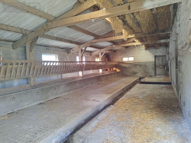 Maison a vendre Pouligny-Notre-Dame 36160 Indre  106000 euros